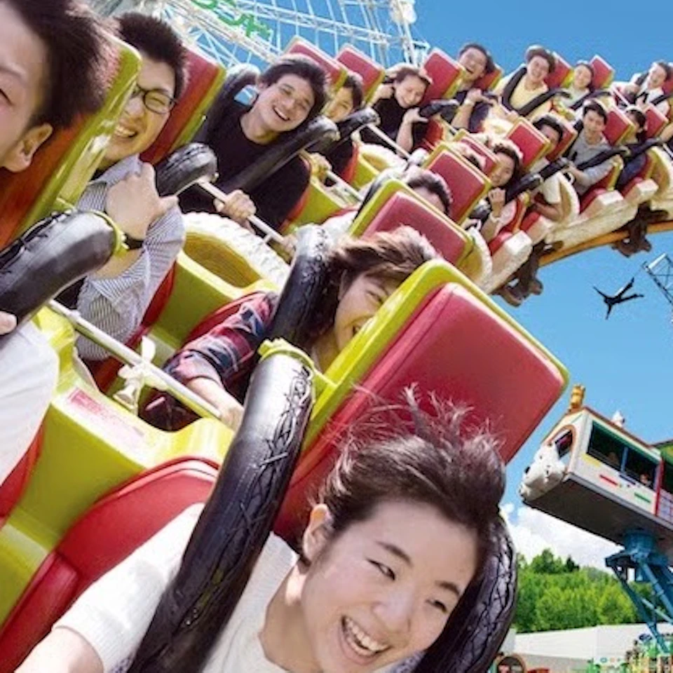 People enjoying a rollercoaster ride in an amusement park under a sunny sky with a Ferris wheel in the background.