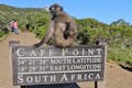 Baboon on Cape Point sign