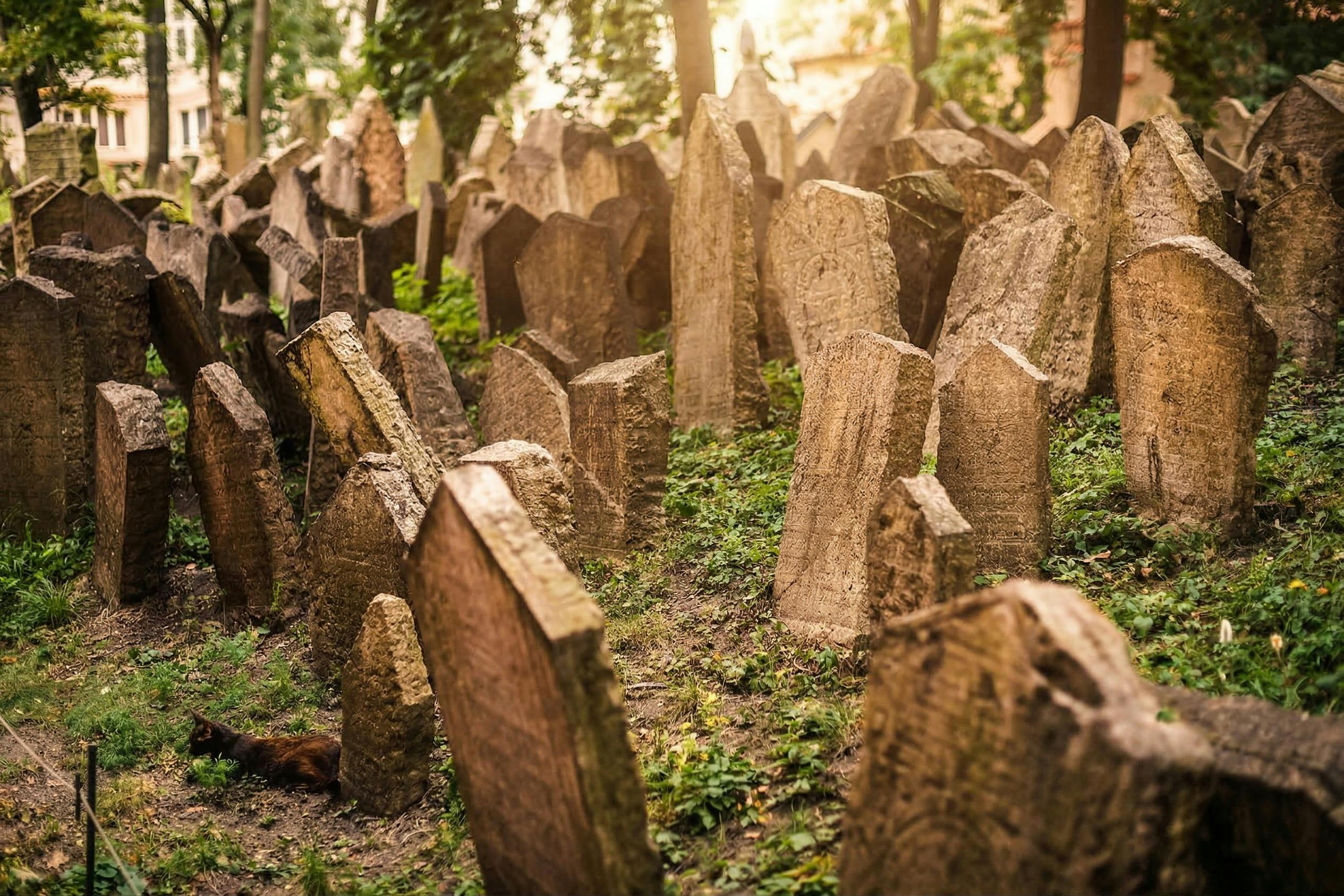 En historisk kyrkogård med många gamla, lutande gravstenar omgivna av grönska, under mjukt solljus som filtreras genom träd.