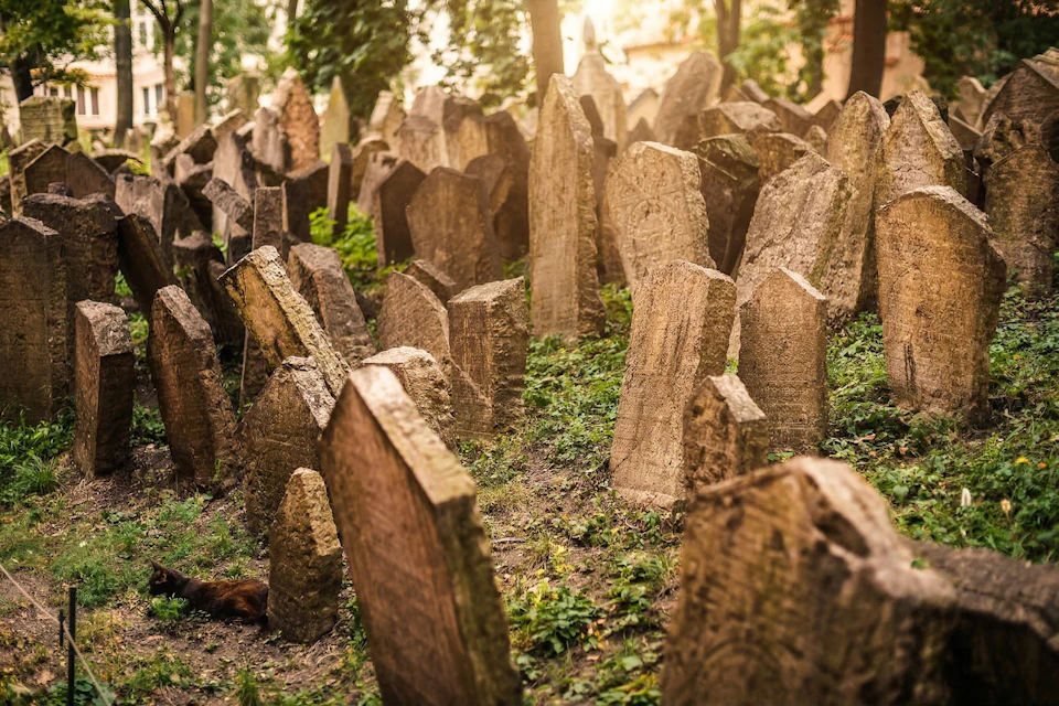 A historic cemetery with numerous aged, leaning gravestones surrounded by greenery, under soft sunlight filtering through trees.
