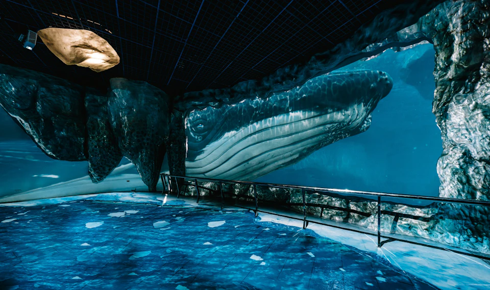 An underwater tunnel with a large whale visible through the glass walls, and a walkway beneath the enclosure.