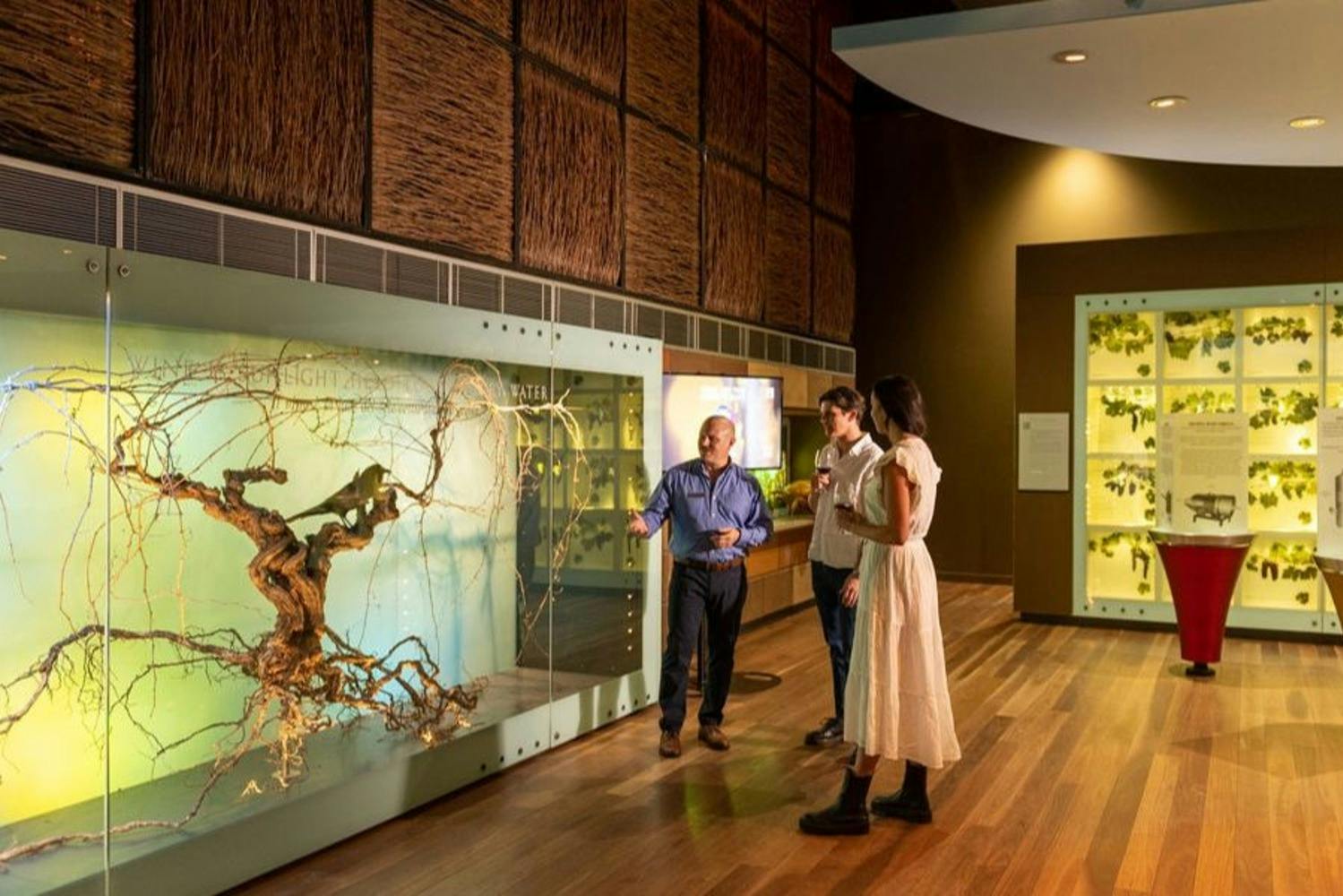 Tour guidato alla scoperta del vino australiano