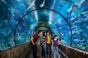 Akvárium se žraločím útesem v Mandalay Bay
