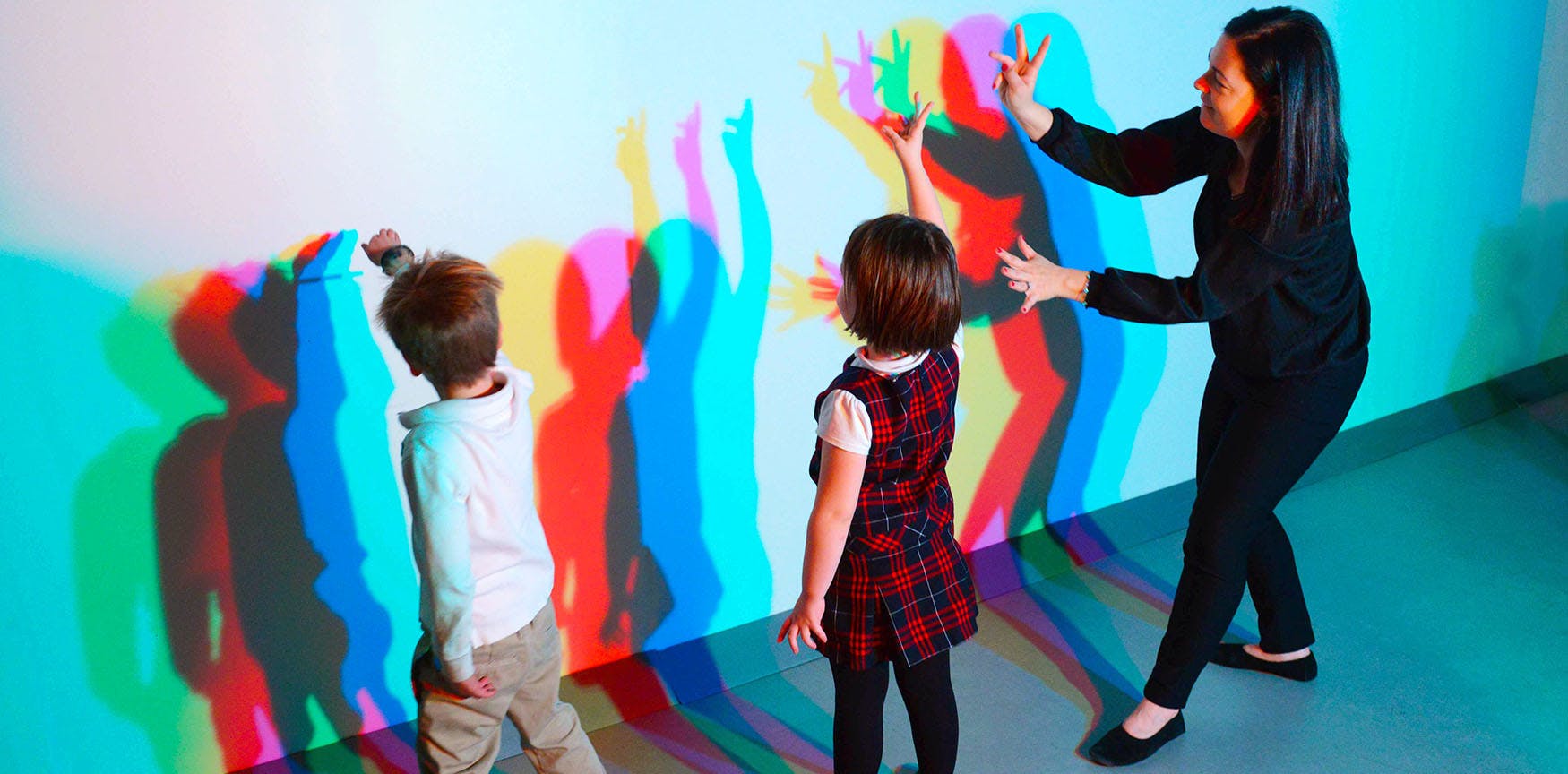 エキシビション 色の本質 アメリカ自然史博物館 Amnh Tiqets Com