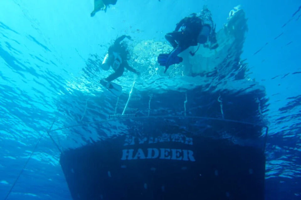 Diving at Sataya Dolphin House in Marsa Alam