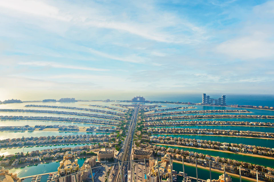 The View at The Palm
