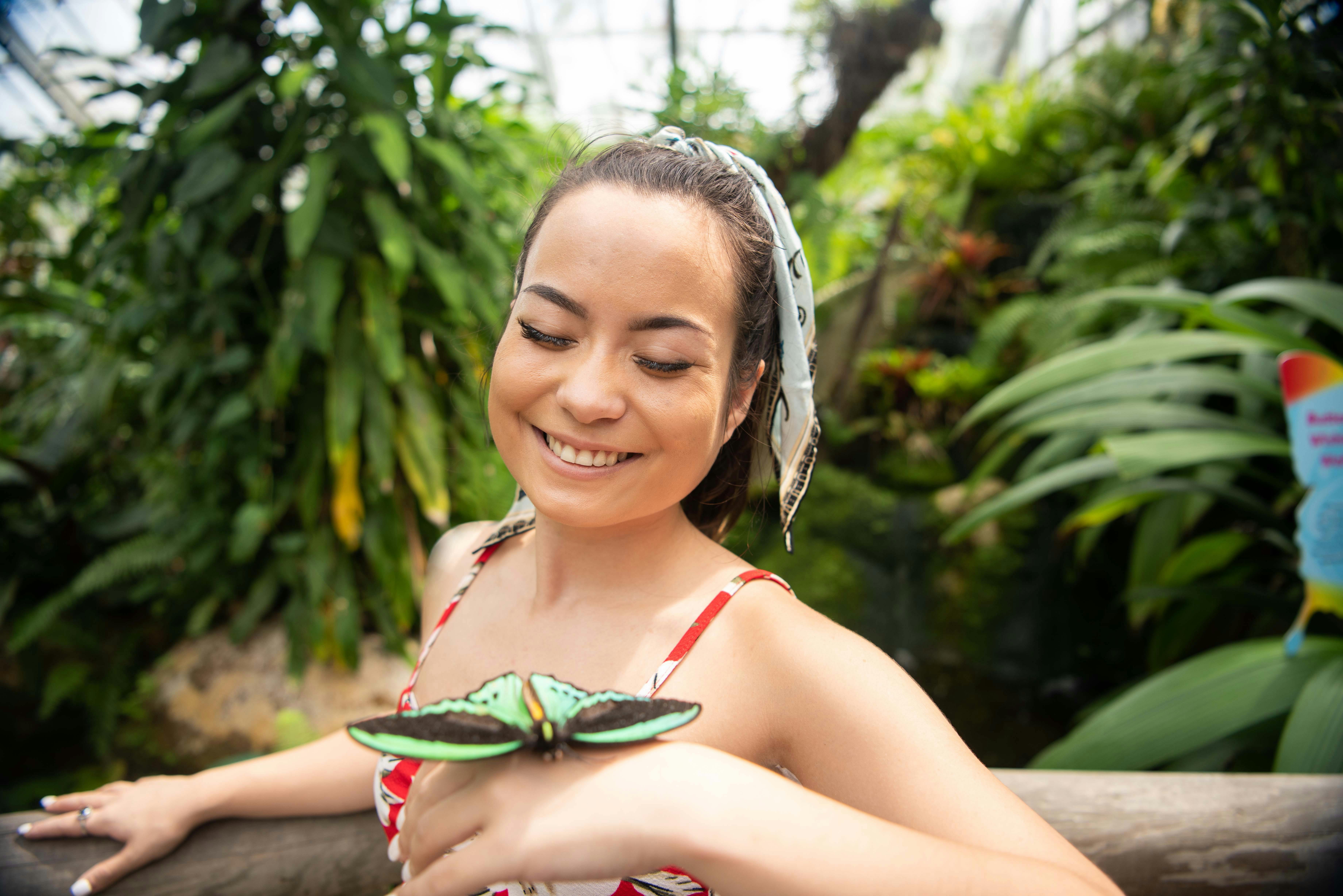 Australian Butterfly Sanctuary: Billets