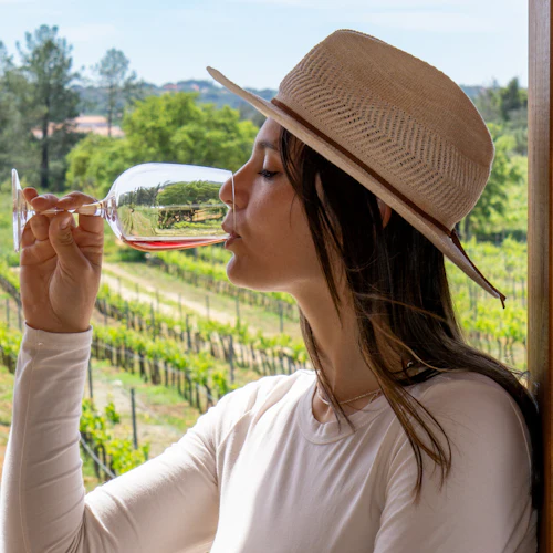 Algarve: Guided Wine Tasting Tour from Albufeira - Photo 7