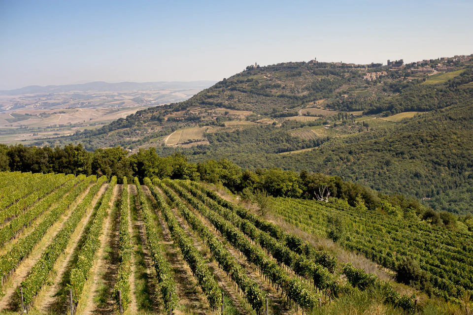 View of Montalcino
