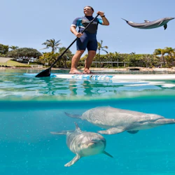 Gold Coast: 4 Parks 5 Days Pass (International Tourists Only) 4