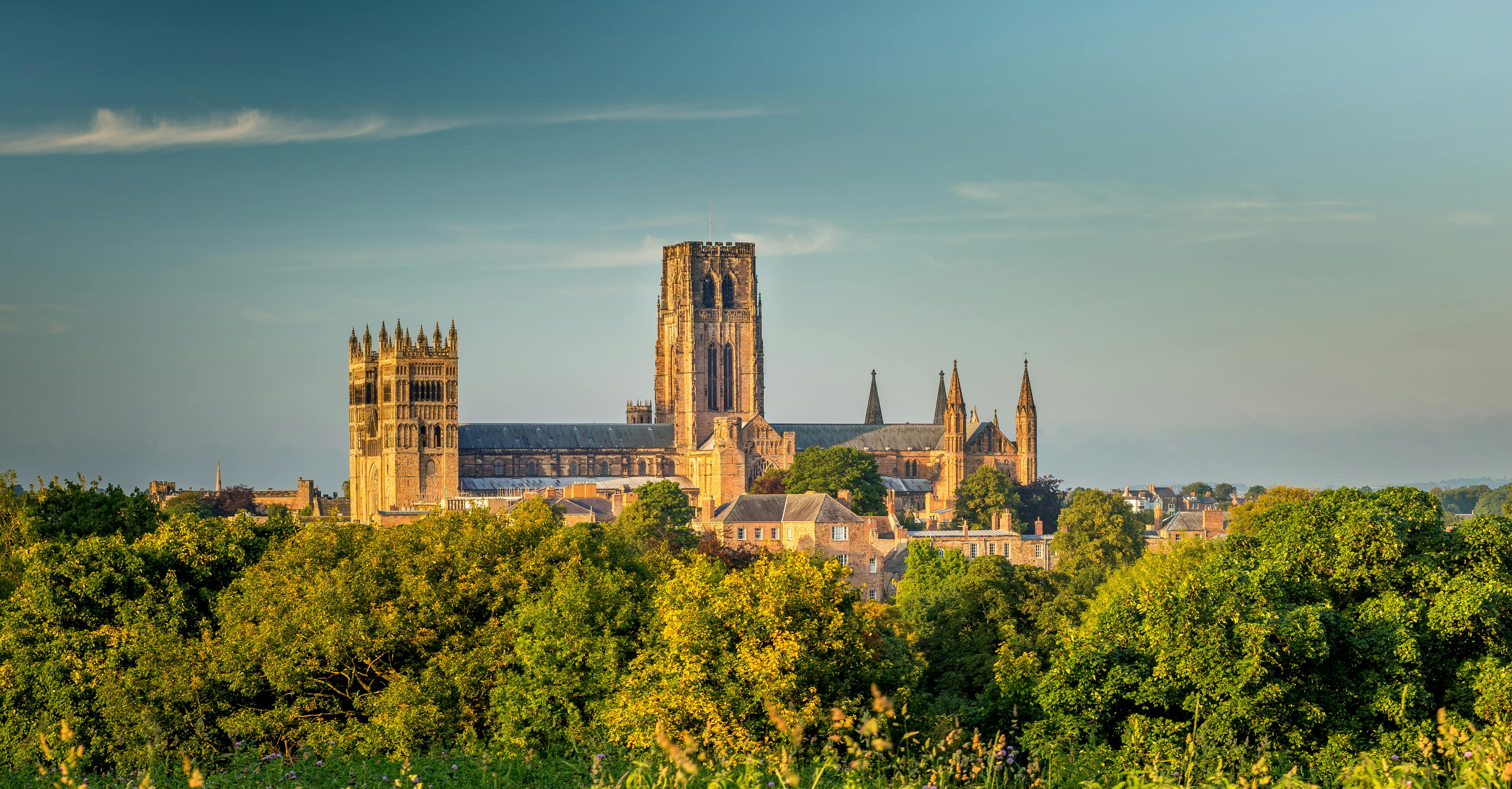 A large, historic cathedral surrounded by trees and smaller buildings, under a clear blue sky.