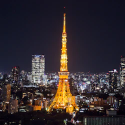 Tokyo Tower Observatory Admission Ticket 3
