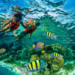 Puerto Morelos Reef: Snorkeling Adventure with Beachside Lunch