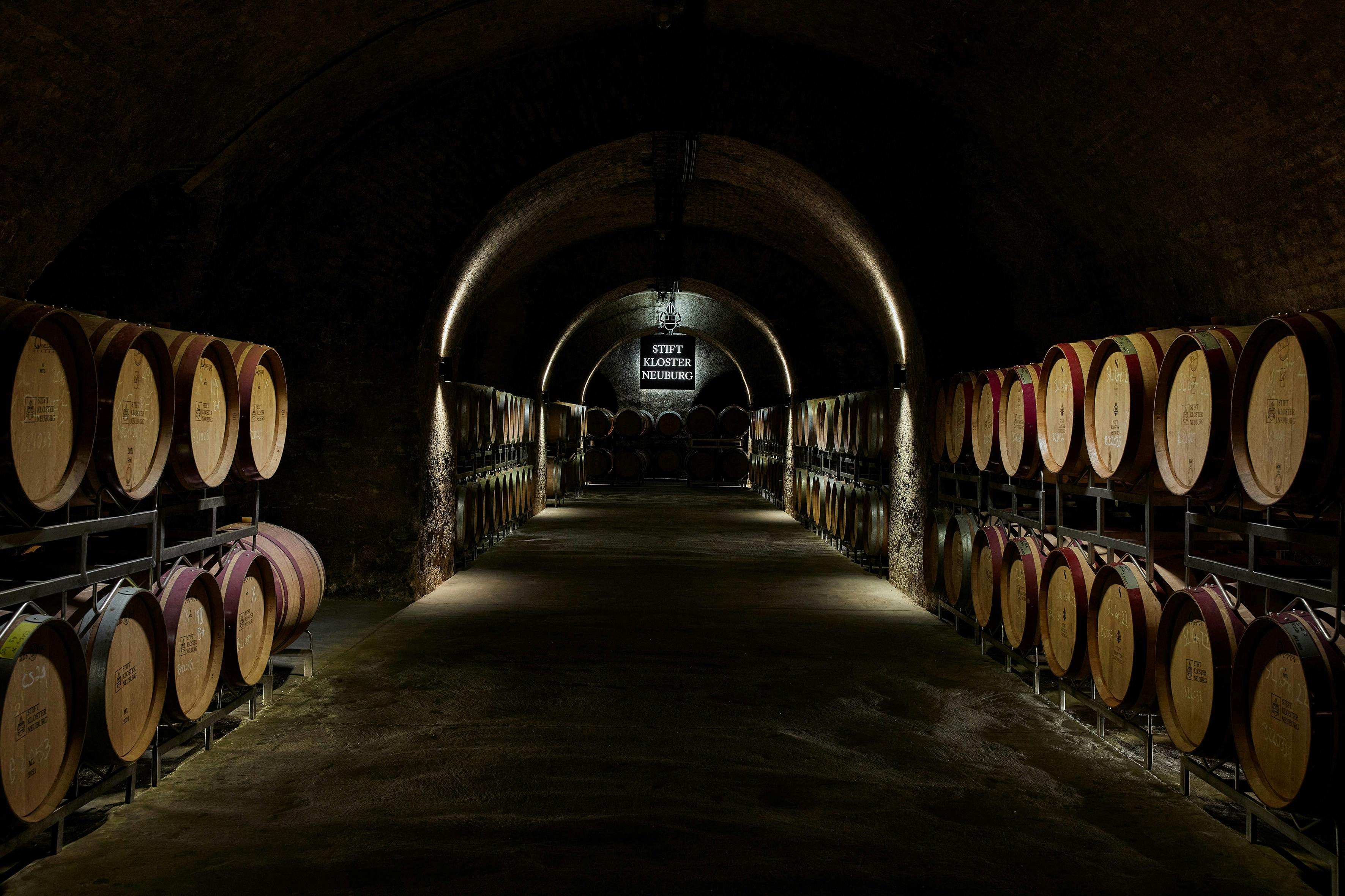 Barrique cellar