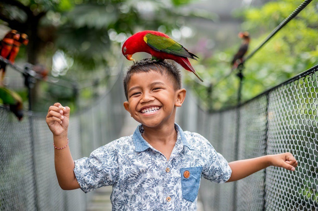 Un niño sonriente con un pájaro en la cabeza, de pie sobre un puente colgante en un entorno verde y exuberante.