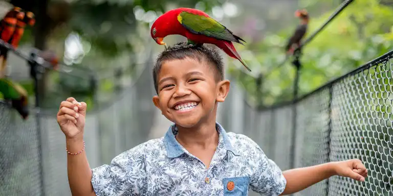 Um rapaz sorridente com um pássaro na cabeça, de pé numa ponte suspensa num ambiente verde e exuberante.