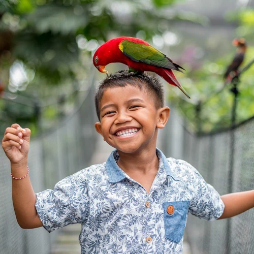 Bali Bird Park: Entry Ticket
