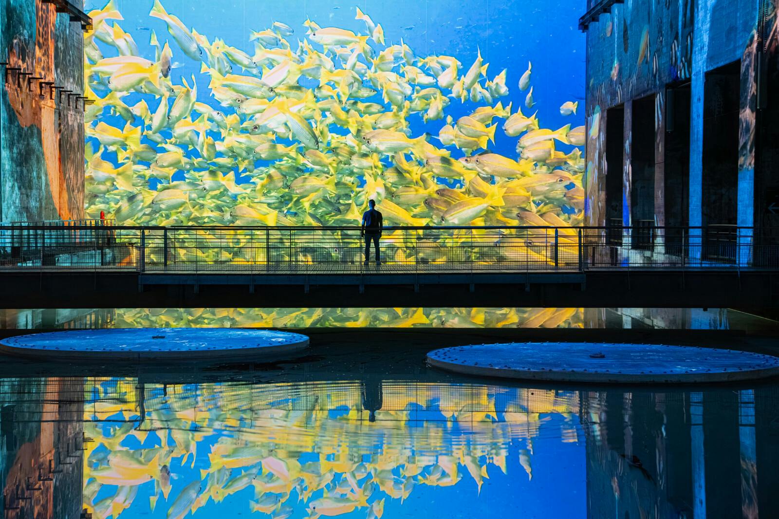 Bacias hidrográficas de Lumières: Exposição sobre o Oceano - Photo 2
