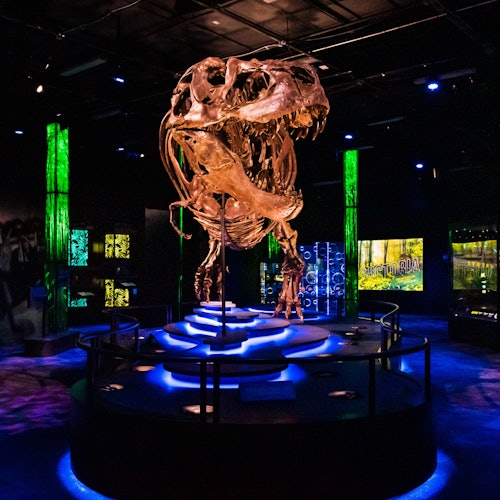 Melbourne Museum: Skip The Line Ticket for Victoria the T. Rex