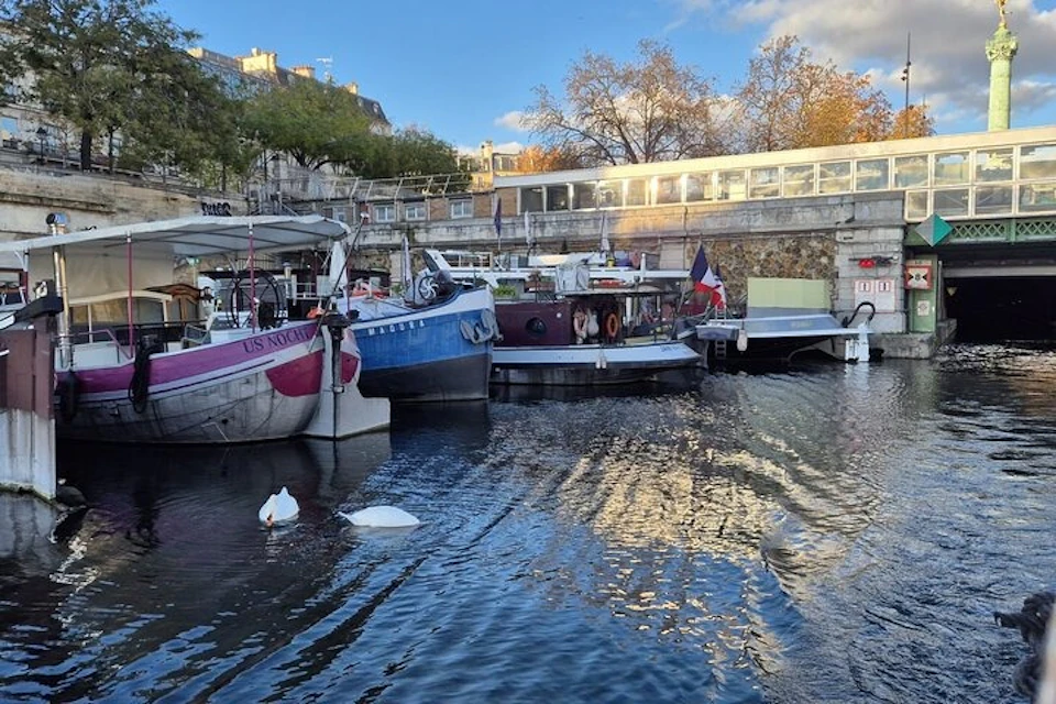 A canal with several boats docked, two swans swimming in the water, and a stone wall and trees in the background.