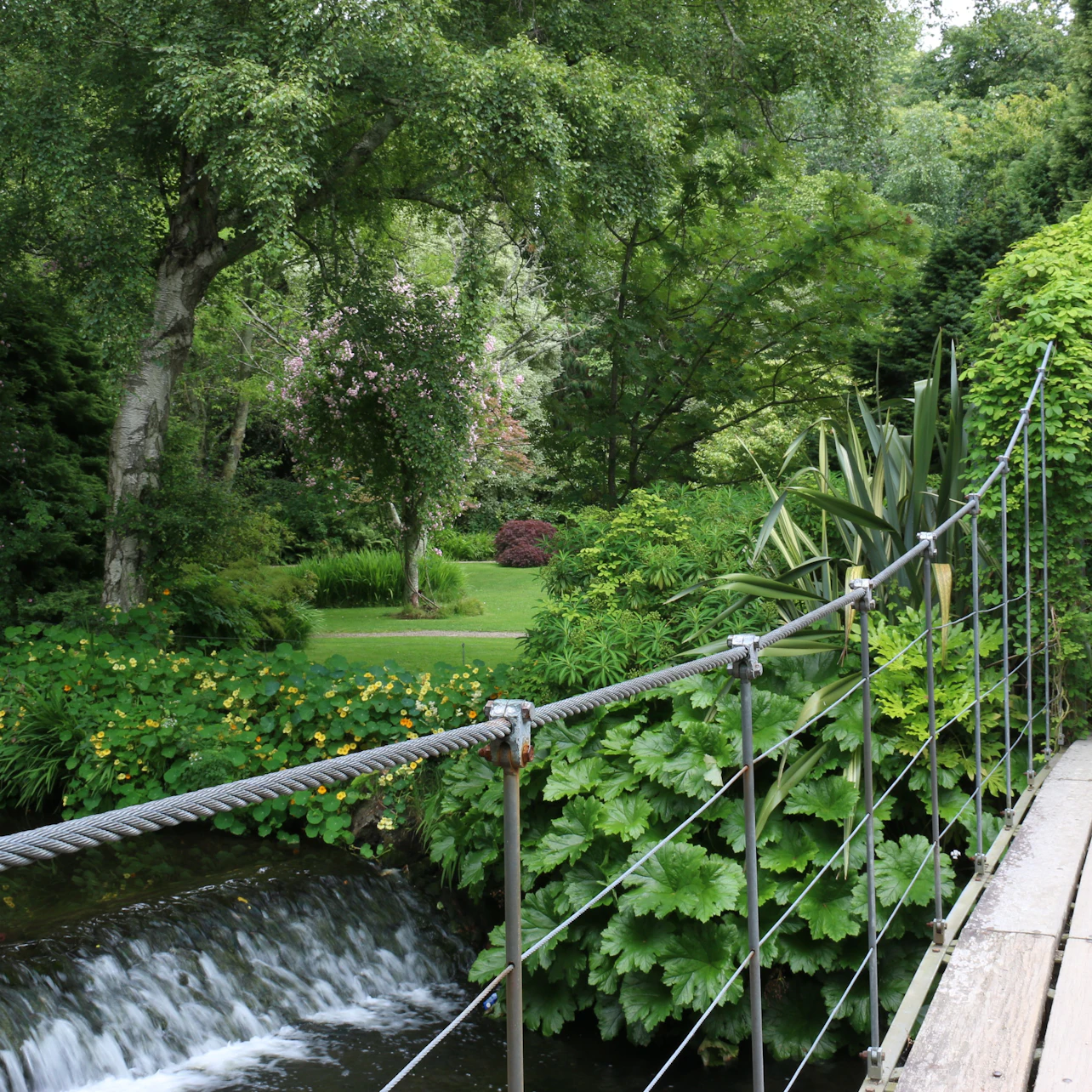 Avoca Mount Usher Gardens: Self Guided Experience in Ashford β Tiqets