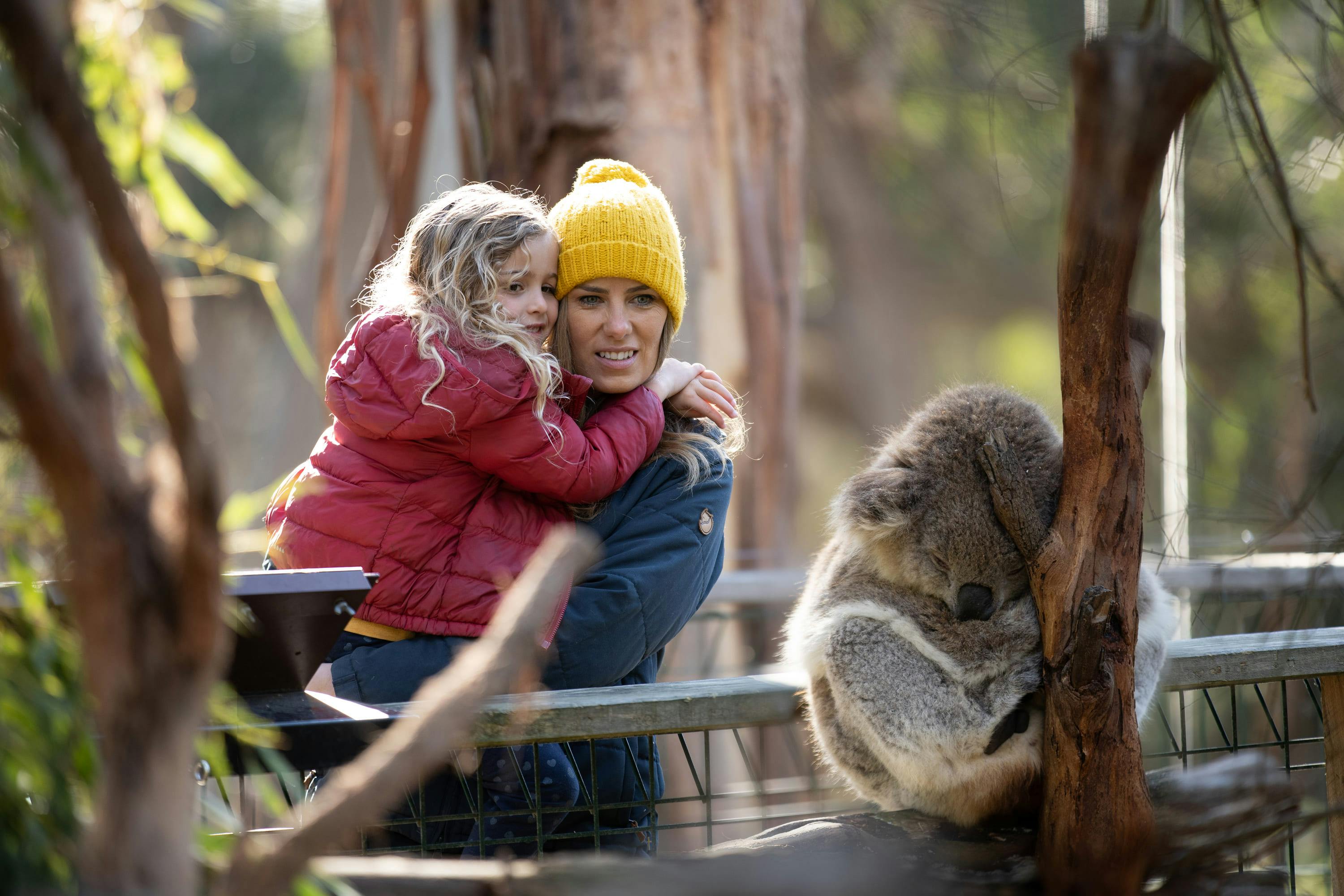A woman in a yellow beanie and a child in a red jacket stand near a koala at a wildlife park, surrounded by trees.