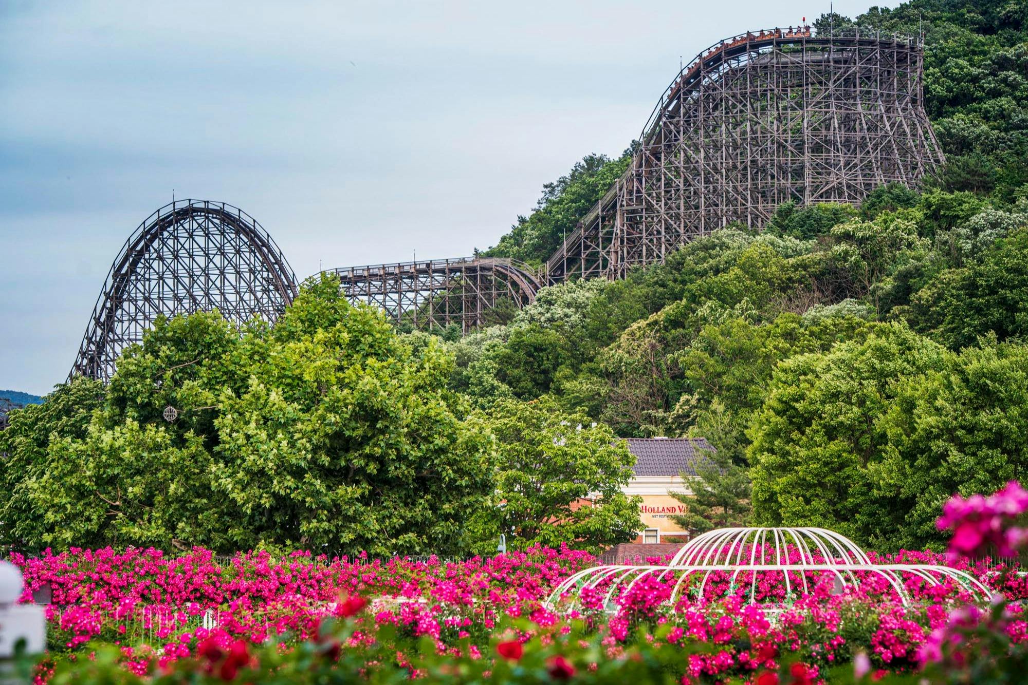 A wooden rollercoaster surrounded by lush greenery, with a foreground of vibrant pink flowers and a metal gazebo.