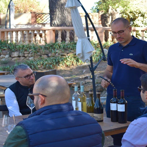 Utiel-Requena Vineyards: Guided Tour from Valencia + Wine Tasting - Photo 7
