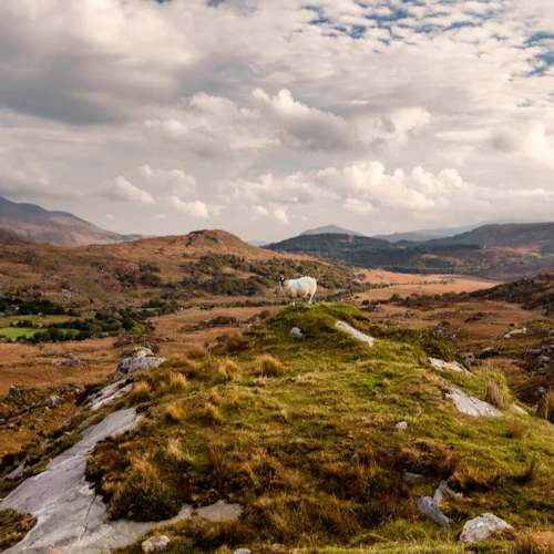 The Ring of Kerry Railtour from Dublin - Photo 8