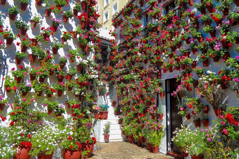 Patios cordobeses en flor: la tradición de los patios de Córdoba declarada Patrimonio de la Humanidad