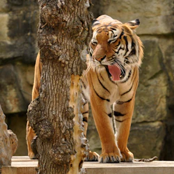 Prague Zoo & River Cruise to the Zoo 4