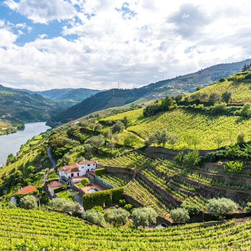 Braga, Aveiro & Douro Valley: Day Trip from Porto + Wine Tasting