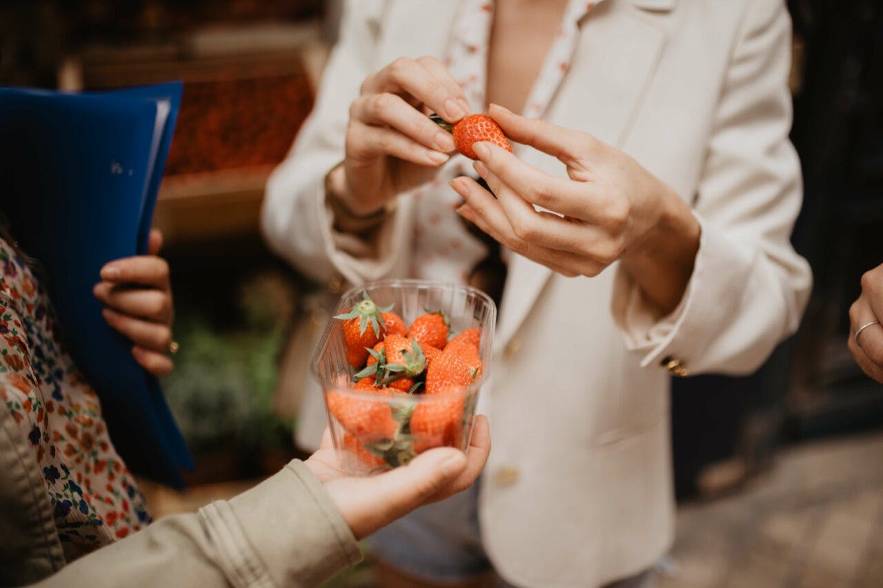 Το Μπορντώ ένα όνειρο