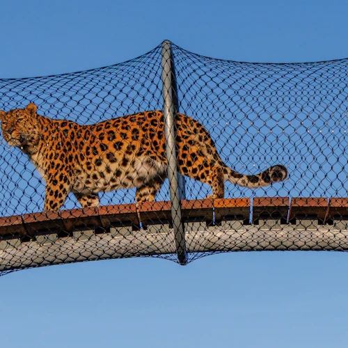 Copenhagen ZOO: Skip The Line Ticket - Photo 1