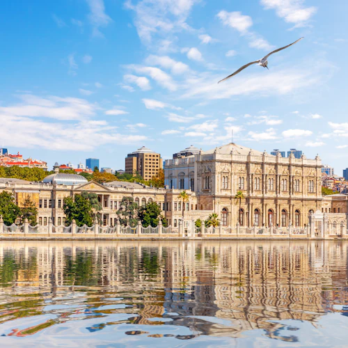 Historiskt palats med utsmyckad fasad och välvda fönster speglar sig i vatten; mås i blå himmel ovanför, stadsbild i bakgrunden.