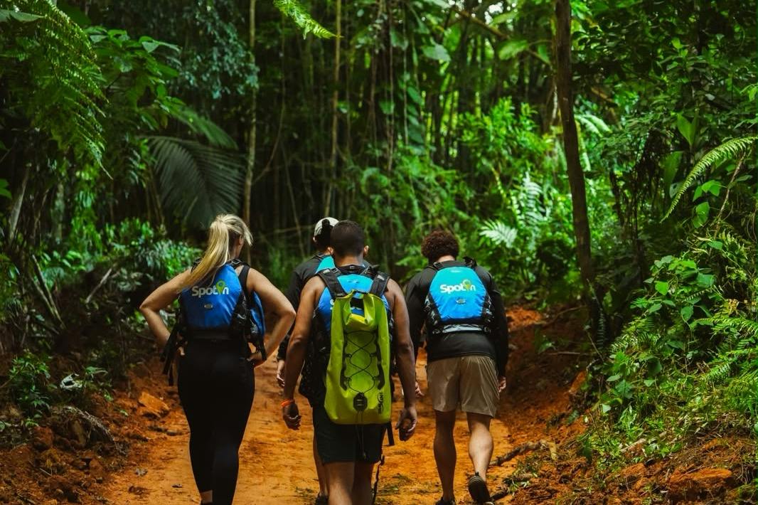 El Yunque National Forest: Guided Hiking Tour + Roundtrip Transport - Photo 8
