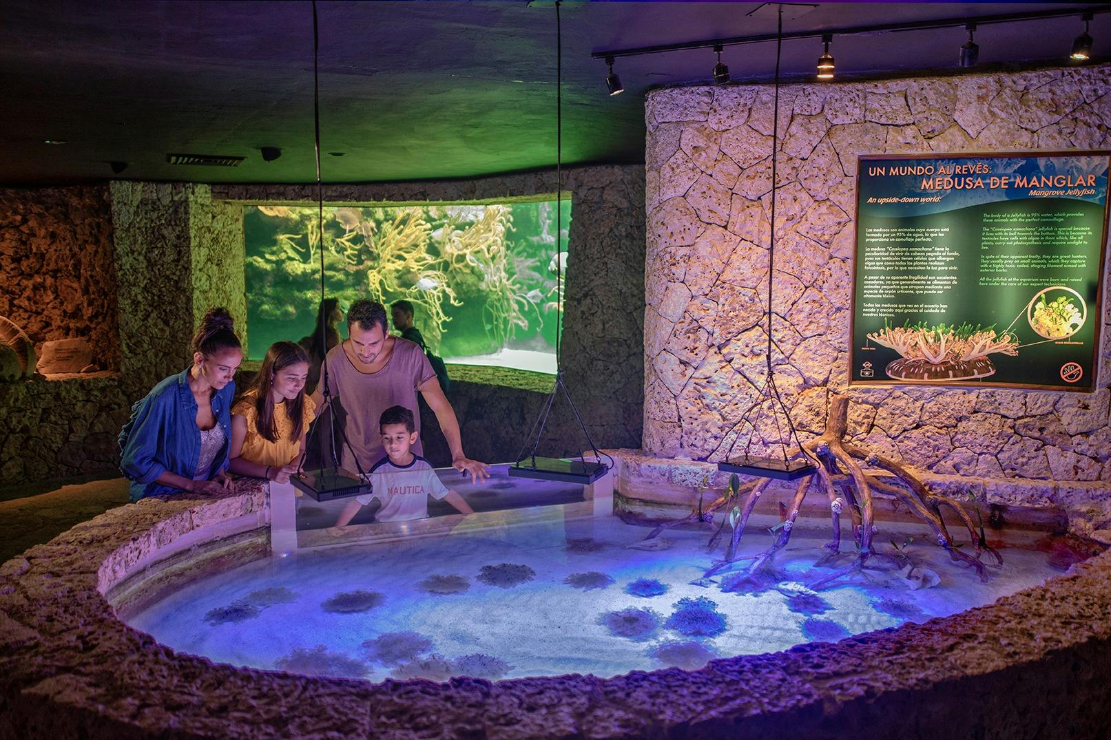 Xcaret à noite: Bilhete de entrada - Acomodações em Playa del Carmen/Playacar