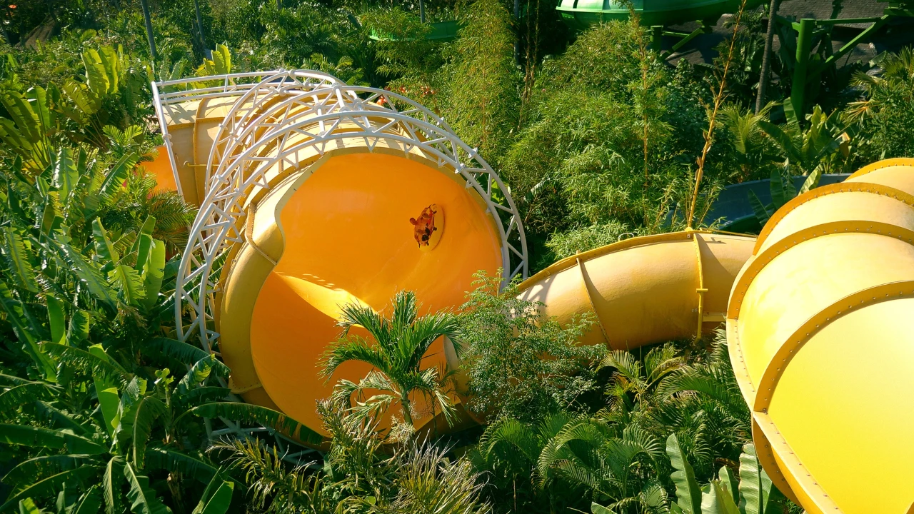 A person sliding down a large, yellow water slide surrounded by lush green vegetation and tropical plants.