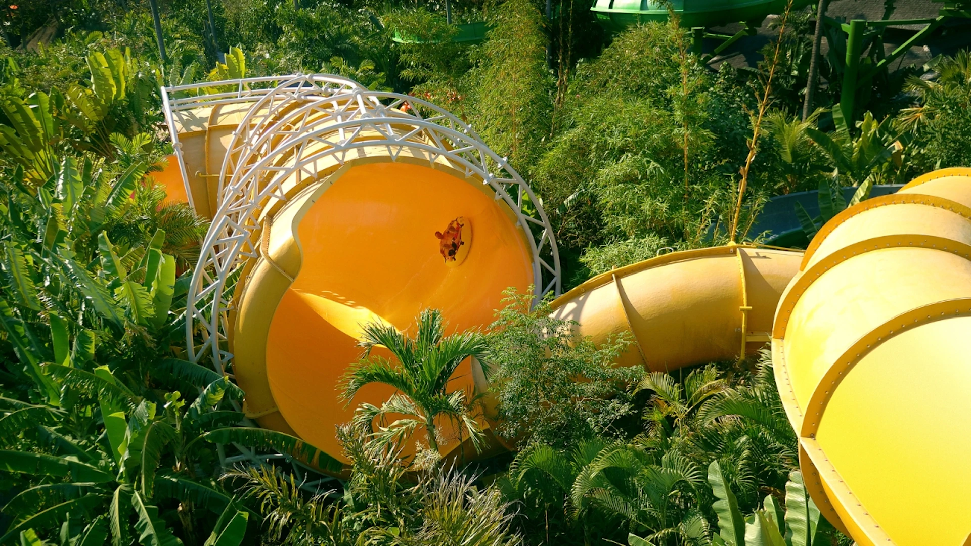 A person sliding down a large, yellow water slide surrounded by lush green vegetation and tropical plants.