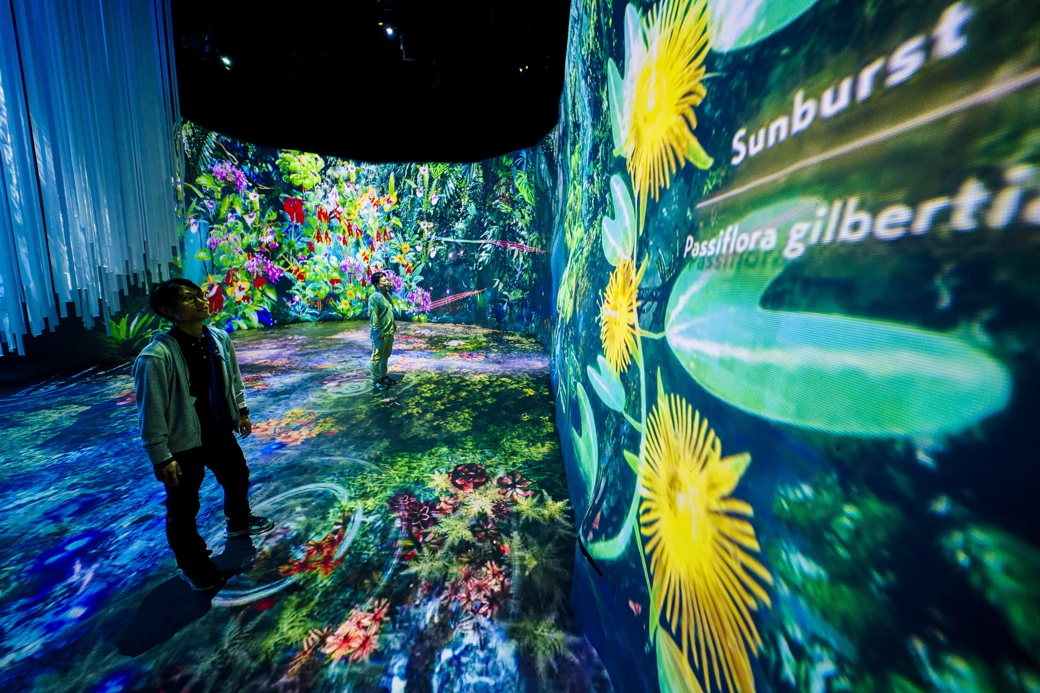 Gardens by the Bay: Flower Dome & Cloud Forest Entry Ticket