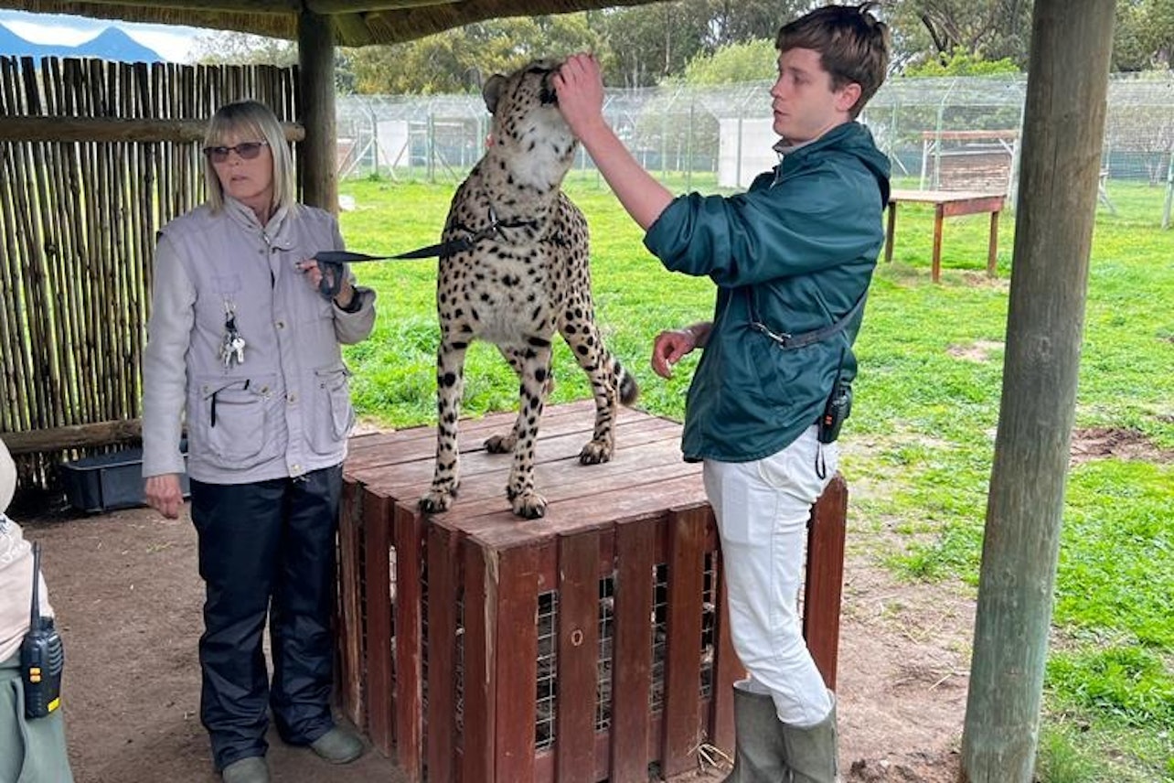 Cape Winelands Wine Tour & Cheetah Outreach Visit - Accommodations in Cape Town