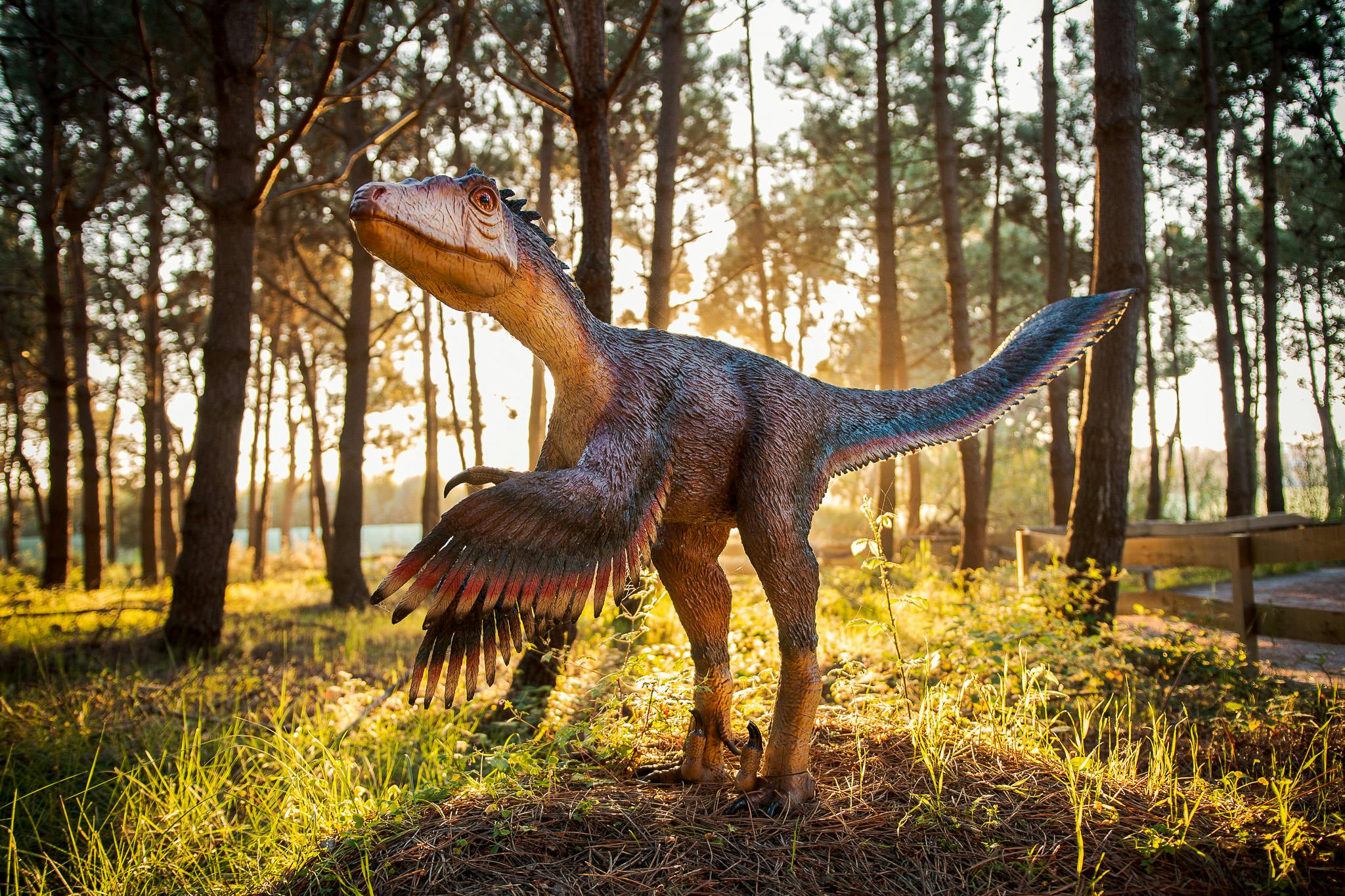 Un modèle de dinosaure dans une forêt où la lumière du soleil filtre à travers les arbres. Le dinosaure a des plumes et se tient debout sur le sol.