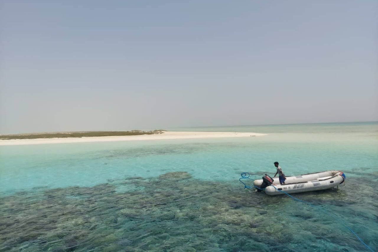 滨田岛浮潜之旅，可通往岛上。