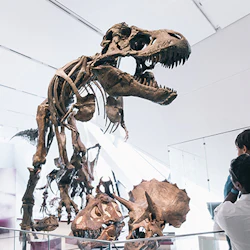 Royal Ontario Museum: General Admission Ticket 4