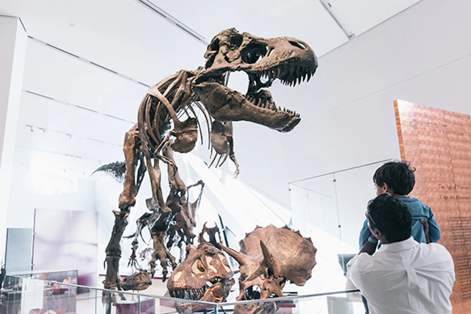 When dinosaurs roamed the Earth.