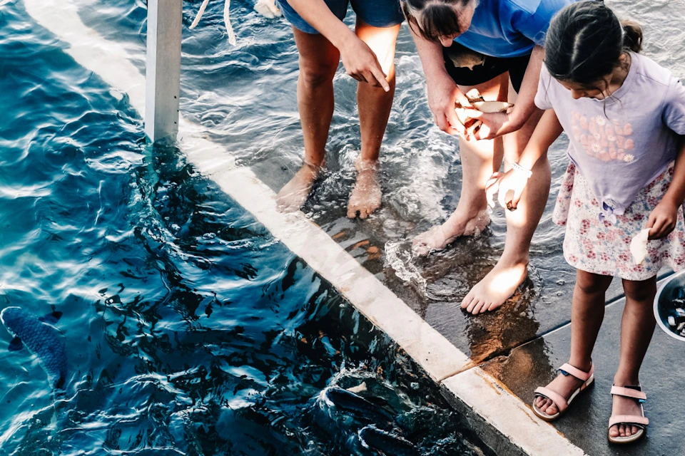 Children leaning over a water edge pointing and feeding fish, with bare feet on wet pavement next to a pool.