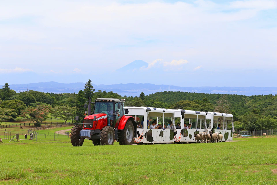 A red tractor pulling white passenger wagons with black spots, traversing a green field with sheep nearby, under a blue sky.