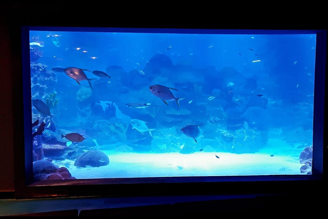 Emaar水族馆