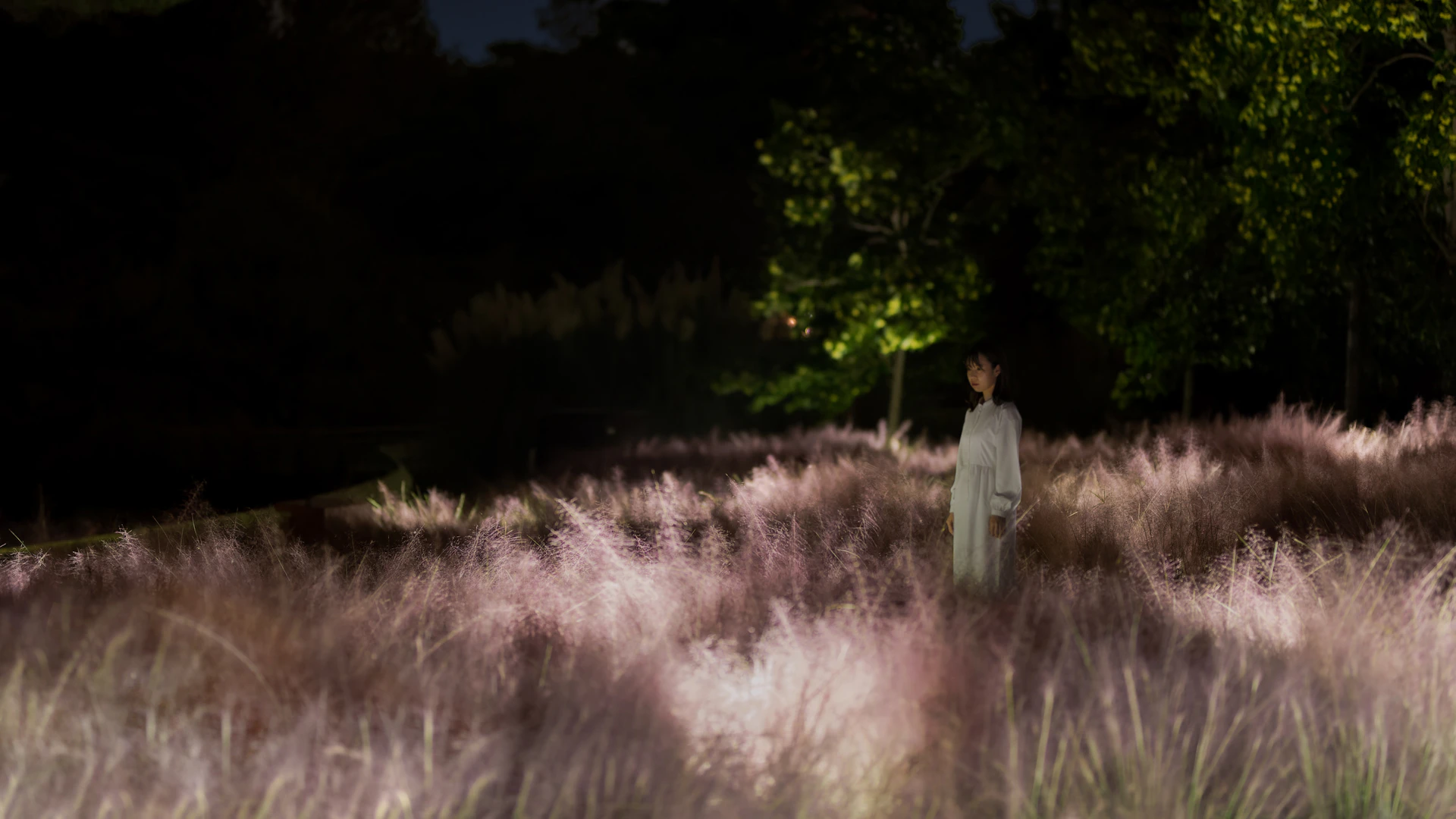 teamLab Botanical Garden Osaka: Admission Ticket