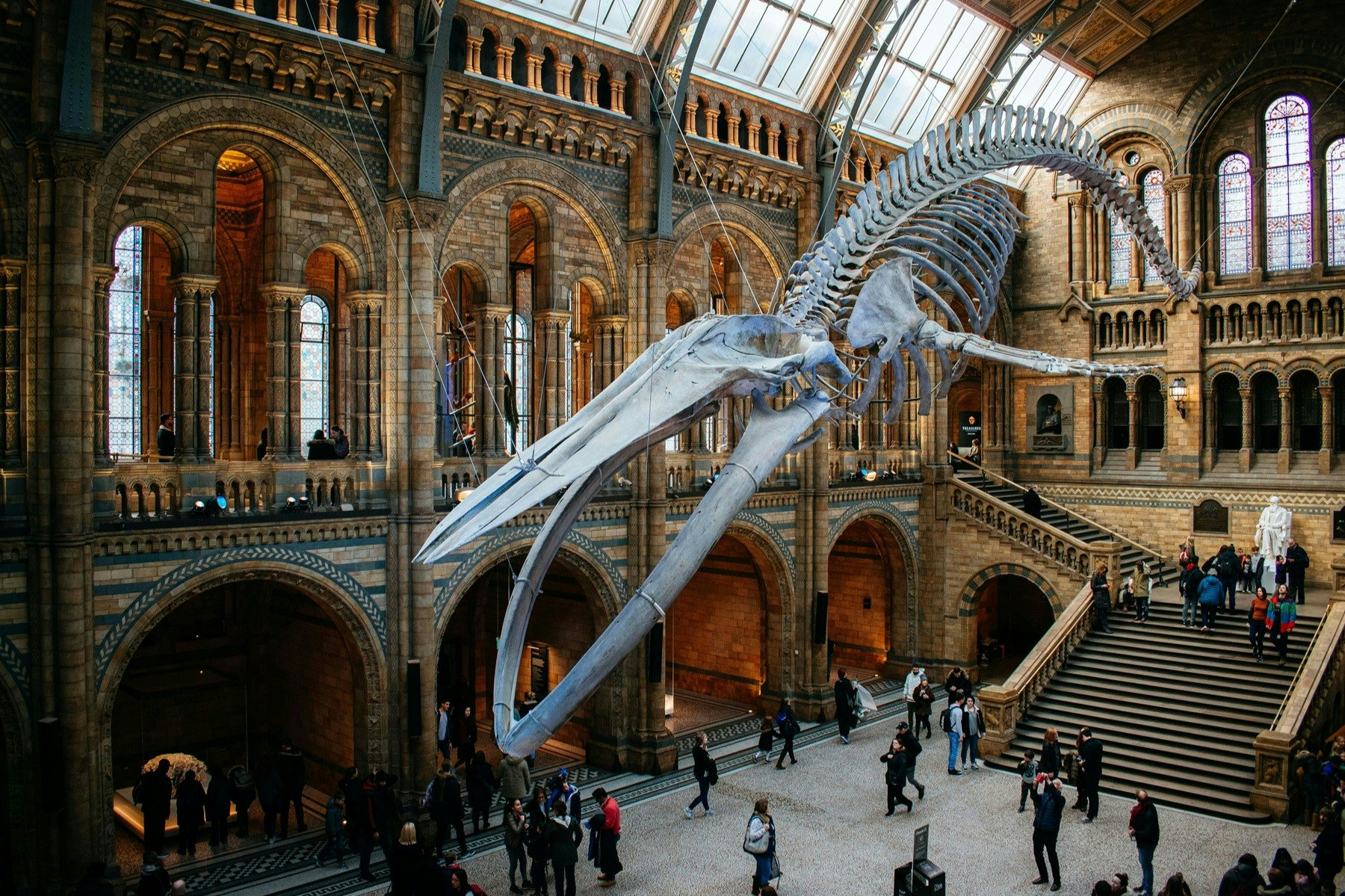 Natural History Museum London: Reserved Entry + Audio Guide